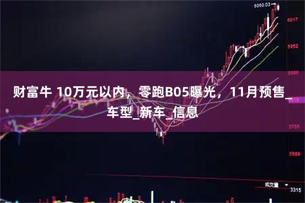 财富牛 10万元以内，零跑B05曝光，11月预售_车型_新车_信息