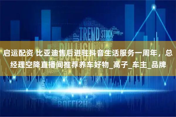 启运配资 比亚迪售后进驻抖音生活服务一周年，总经理空降直播间推荐养车好物_高子_车主_品牌