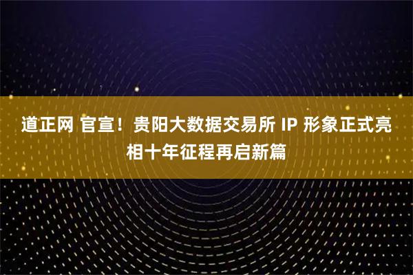 道正网 官宣！贵阳大数据交易所 IP 形象正式亮相十年征程再启新篇