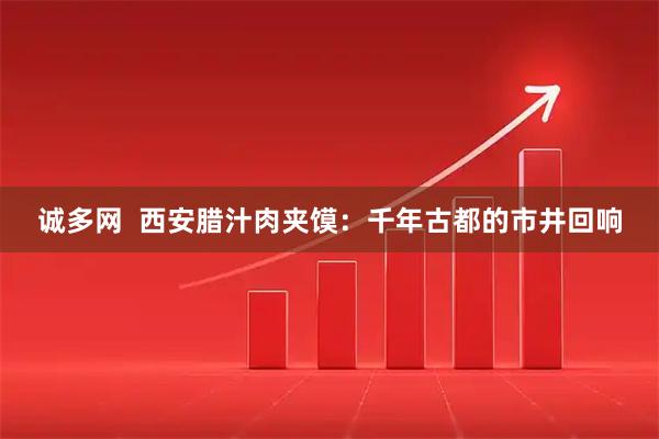 诚多网  西安腊汁肉夹馍：千年古都的市井回响